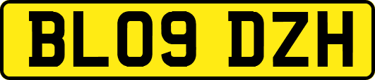 BL09DZH