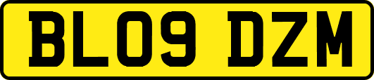 BL09DZM