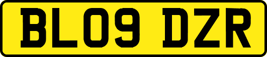 BL09DZR