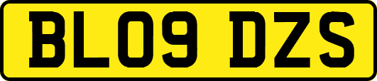 BL09DZS