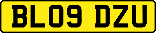 BL09DZU
