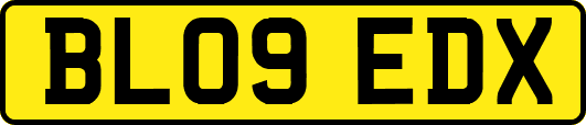 BL09EDX