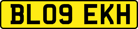 BL09EKH