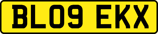 BL09EKX