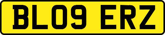BL09ERZ