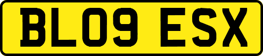 BL09ESX