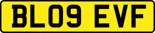 BL09EVF