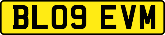 BL09EVM