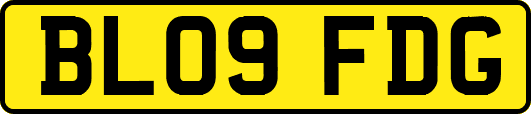 BL09FDG