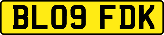 BL09FDK