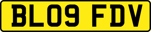 BL09FDV