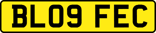 BL09FEC