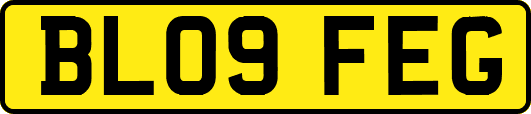 BL09FEG