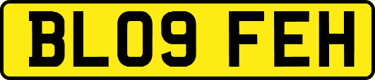 BL09FEH