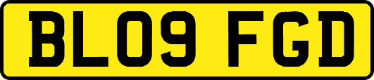 BL09FGD