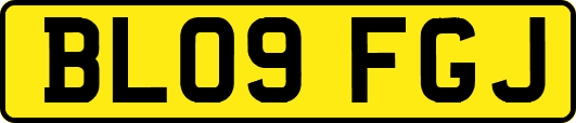 BL09FGJ