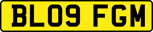 BL09FGM