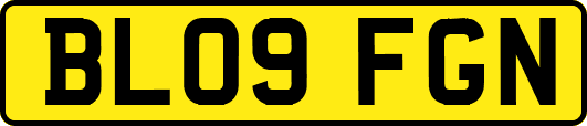 BL09FGN