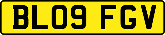 BL09FGV
