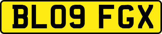 BL09FGX