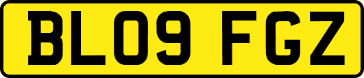 BL09FGZ