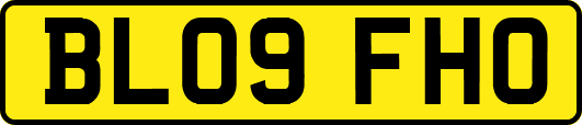 BL09FHO