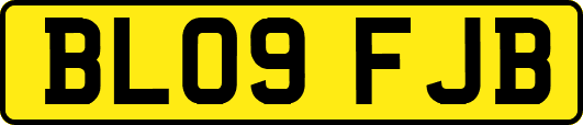 BL09FJB