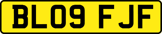 BL09FJF