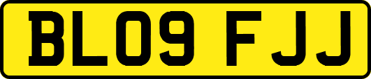 BL09FJJ