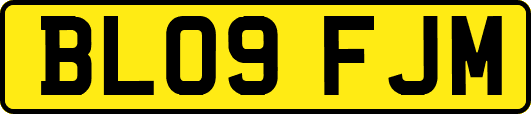 BL09FJM