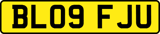 BL09FJU