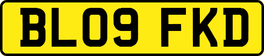 BL09FKD