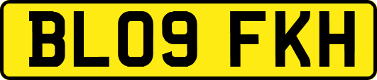 BL09FKH