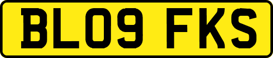 BL09FKS