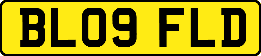 BL09FLD