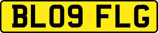 BL09FLG