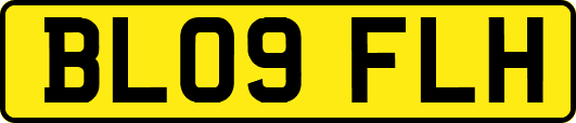 BL09FLH