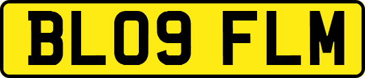 BL09FLM