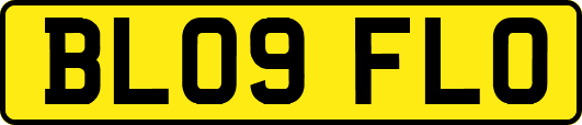 BL09FLO