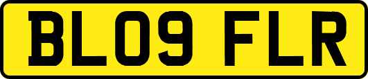 BL09FLR