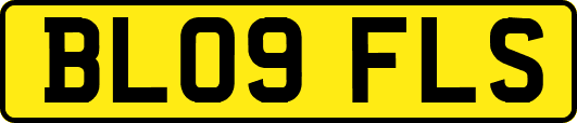 BL09FLS