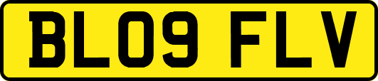 BL09FLV