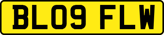 BL09FLW
