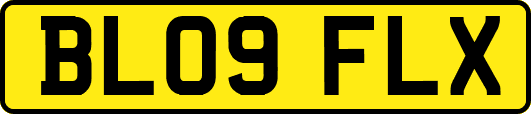 BL09FLX