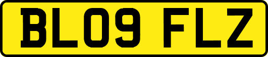 BL09FLZ