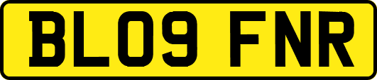 BL09FNR