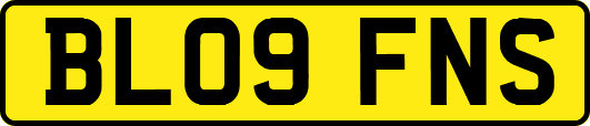 BL09FNS
