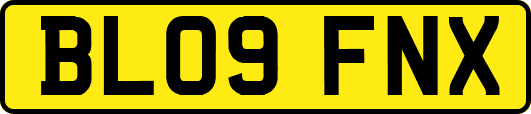 BL09FNX
