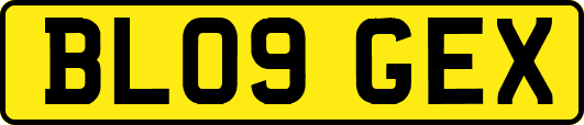 BL09GEX