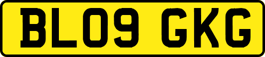 BL09GKG